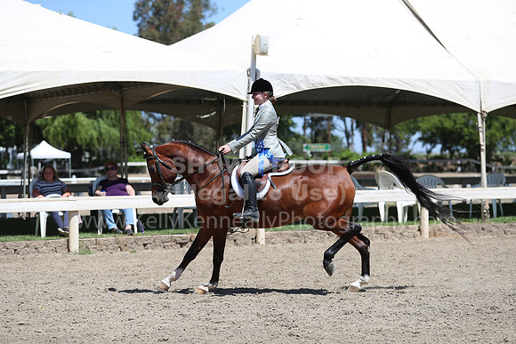 DAHA_Spring21_Sun_5145