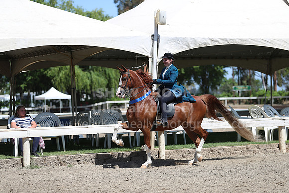 DAHA_Spring21_Sun_5041