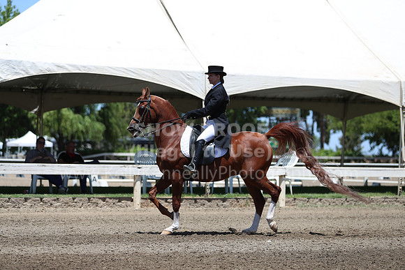 DAHA_Spring21_Sun_5149