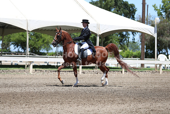 DAHA_Spring21_Sun_5147