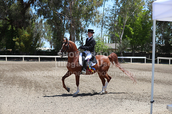 DAHA_Spring21_Sun_5154