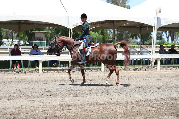 DAHA_Spring21_Sun_5173