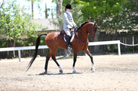 DAHA_Spring21_Sun_5187
