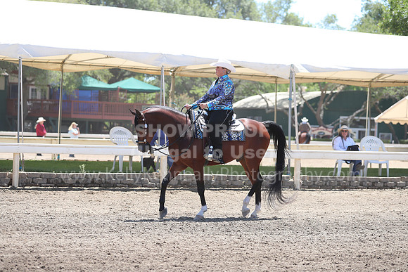 DAHA_Spring21_Sun_5207