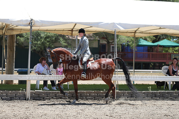 DAHA_Spring21_Sun_5311