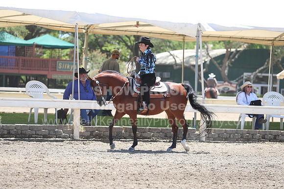 DAHA_Spring21_Sun_5210