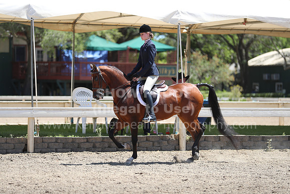 DAHA_Spring21_Sun_5508