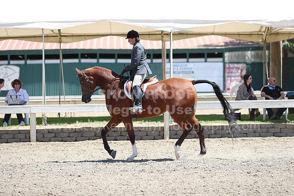 DAHA_Spring21_Sun_5546