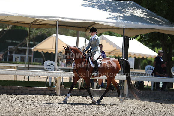 DAHA_Spring21_Sun_5511