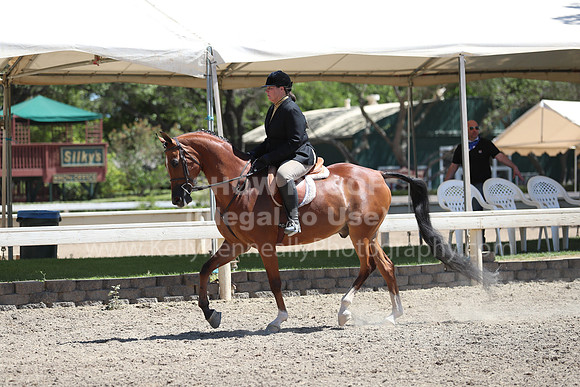 DAHA_Spring21_Sun_5681