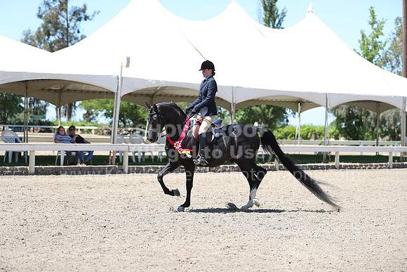DAHA_Spring21_Sun_5559