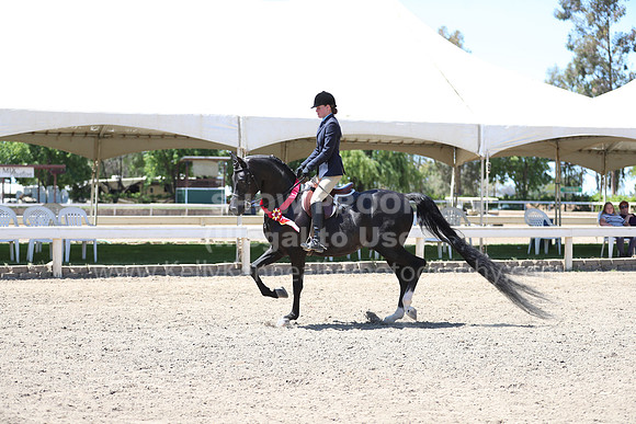 DAHA_Spring21_Sun_5565