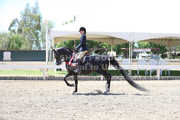 DAHA_Spring21_Sun_5568