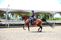 DAHA_Spring21_Sun_5617