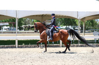 DAHA_Spring21_Sun_5621