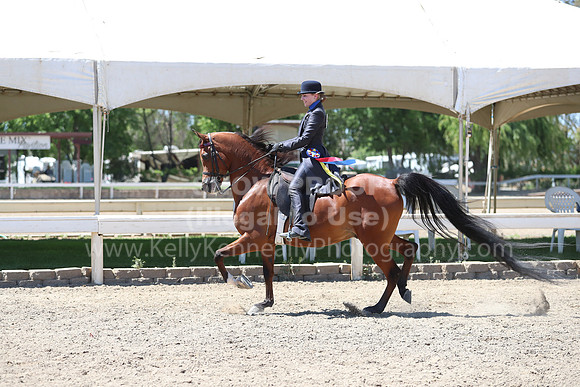 DAHA_Spring21_Sun_5621