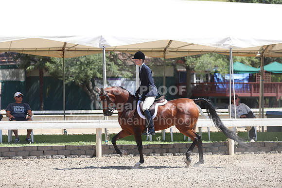 DAHA_Spring21_Sun_5697