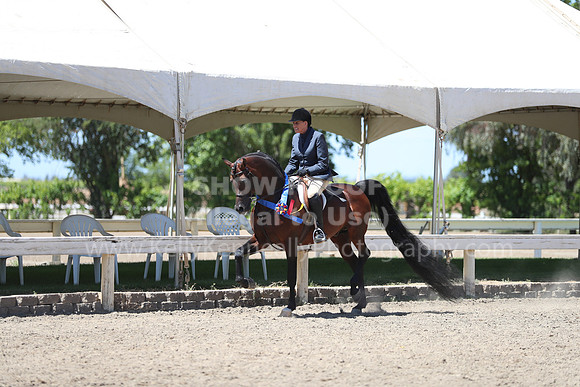 DAHA_Spring21_Sun_5569