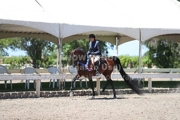 DAHA_Spring21_Sun_5570