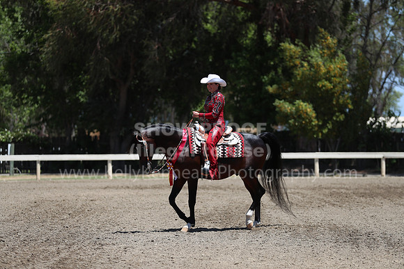DAHA_Spring21_Sun_5230