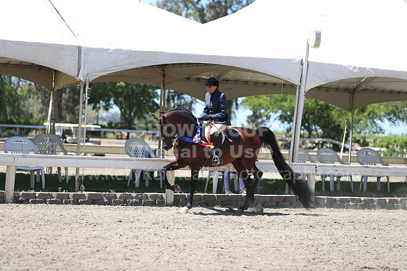 DAHA_Spring21_Sun_5575