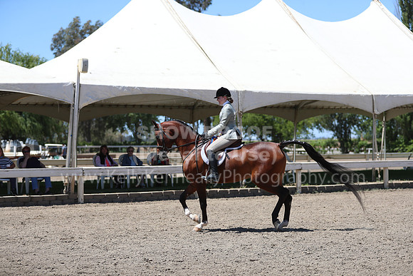 DAHA_Spring21_Sun_5531