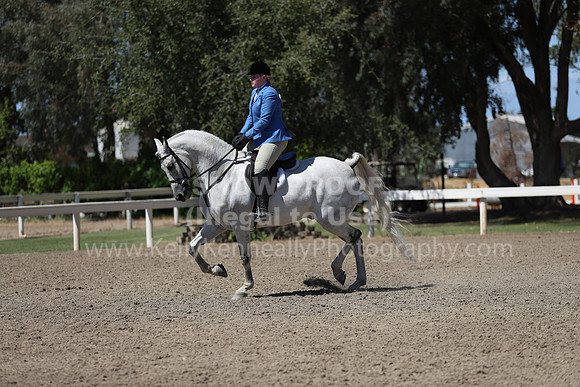 DAHA_Spring21_Sun_5778