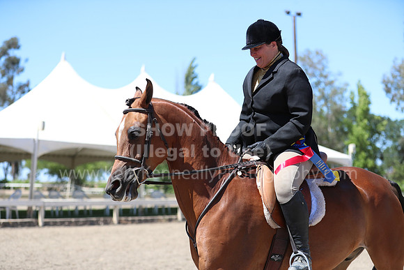 DAHA_Spring21_Sun_5706