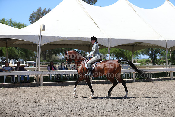 DAHA_Spring21_Sun_5532