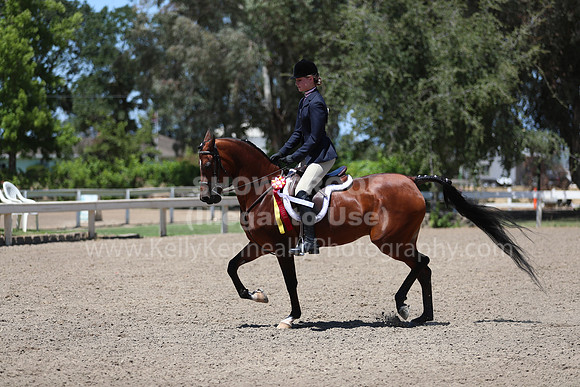 DAHA_Spring21_Sun_5536