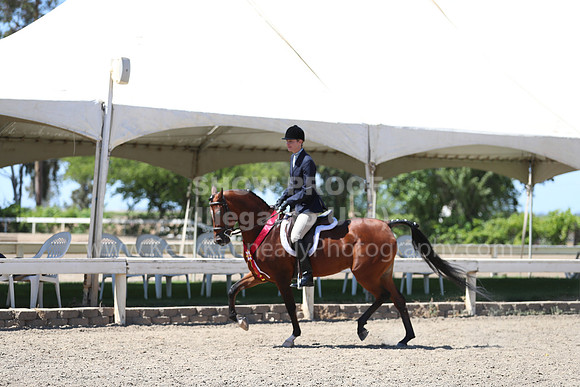 DAHA_Spring21_Sun_5710