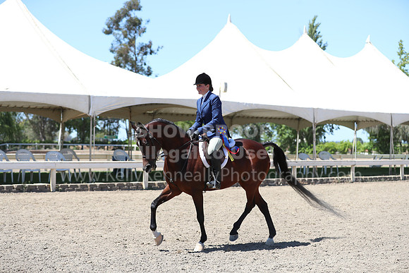 DAHA_Spring21_Sun_5666
