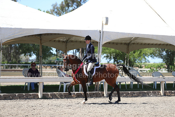 DAHA_Spring21_Sun_5713