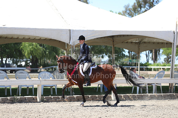 DAHA_Spring21_Sun_5715