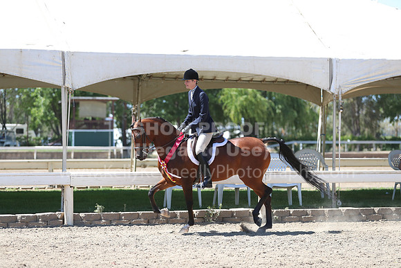 DAHA_Spring21_Sun_5716