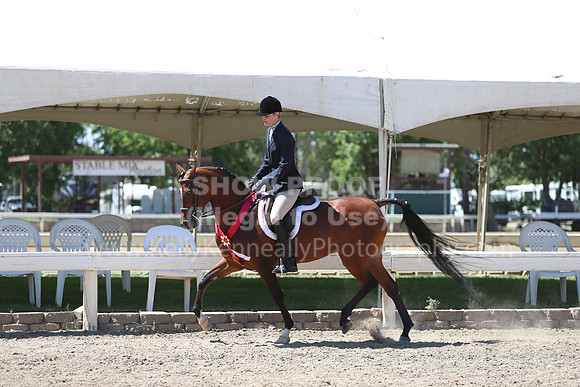 DAHA_Spring21_Sun_5718