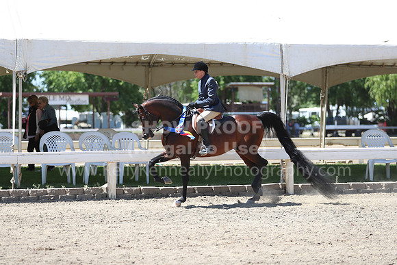 DAHA_Spring21_Sun_5584