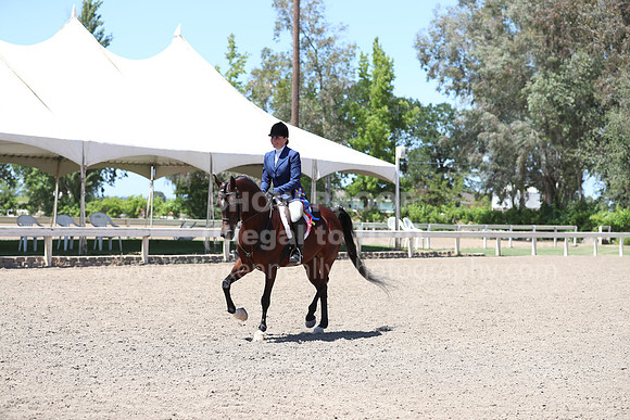 DAHA_Spring21_Sun_5661