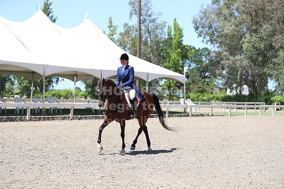 DAHA_Spring21_Sun_5662