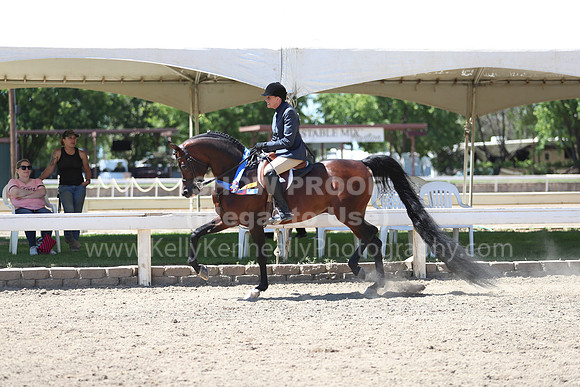 DAHA_Spring21_Sun_5587