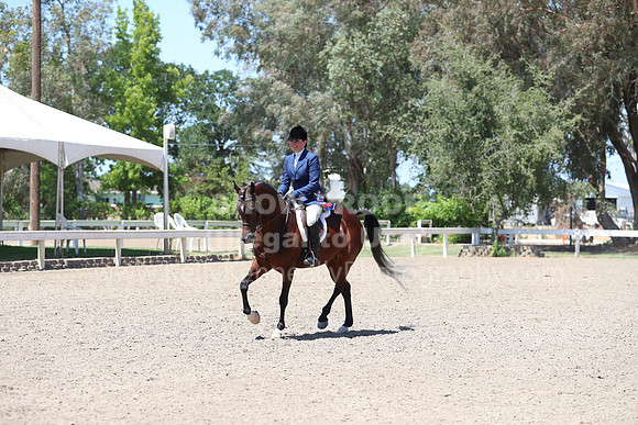 DAHA_Spring21_Sun_5658