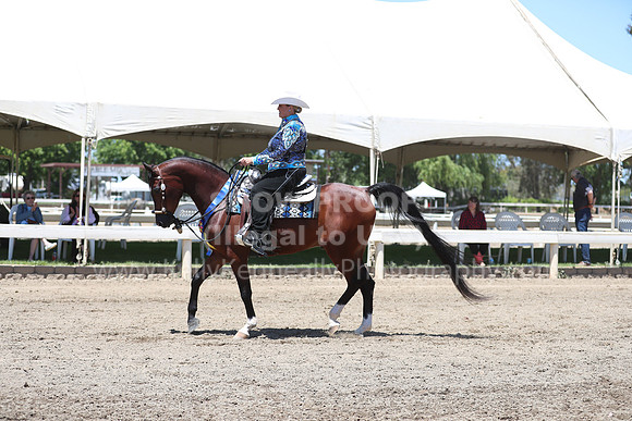 DAHA_Spring21_Sun_5252