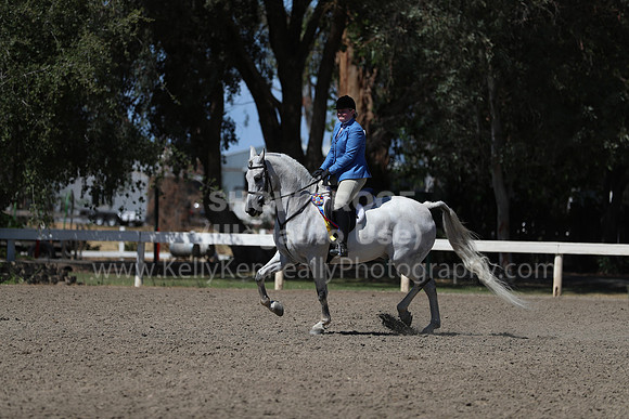 DAHA_Spring21_Sun_5793
