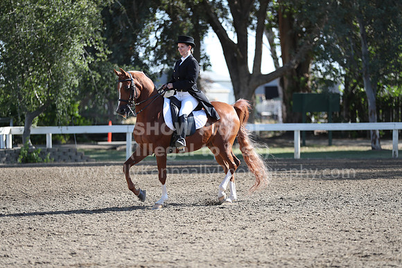 DAHA_Spring21_Sun_4353