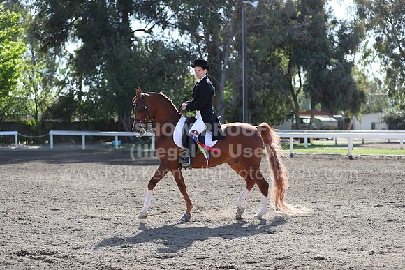 DAHA_Spring21_Sun_4372