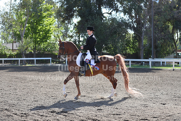 DAHA_Spring21_Sun_4374