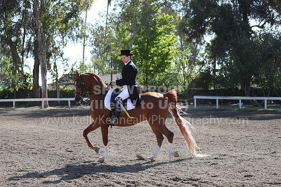 DAHA_Spring21_Sun_4379
