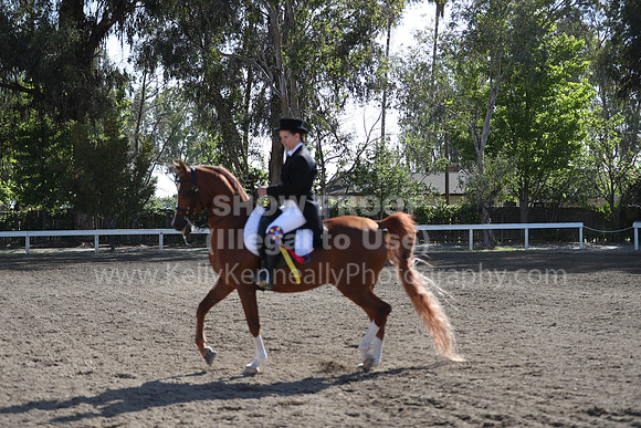 DAHA_Spring21_Sun_4381