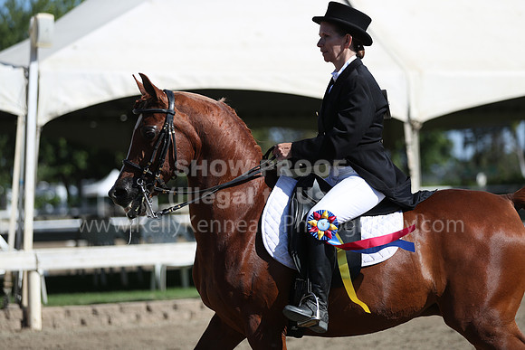 DAHA_Spring21_Sun_4393