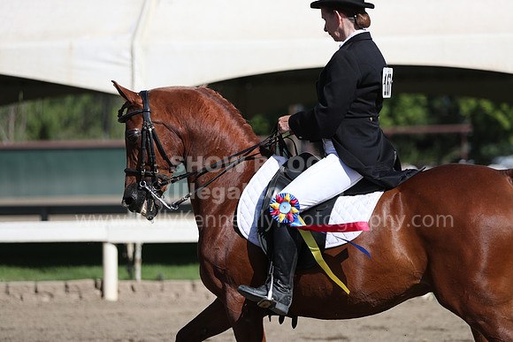 DAHA_Spring21_Sun_4394